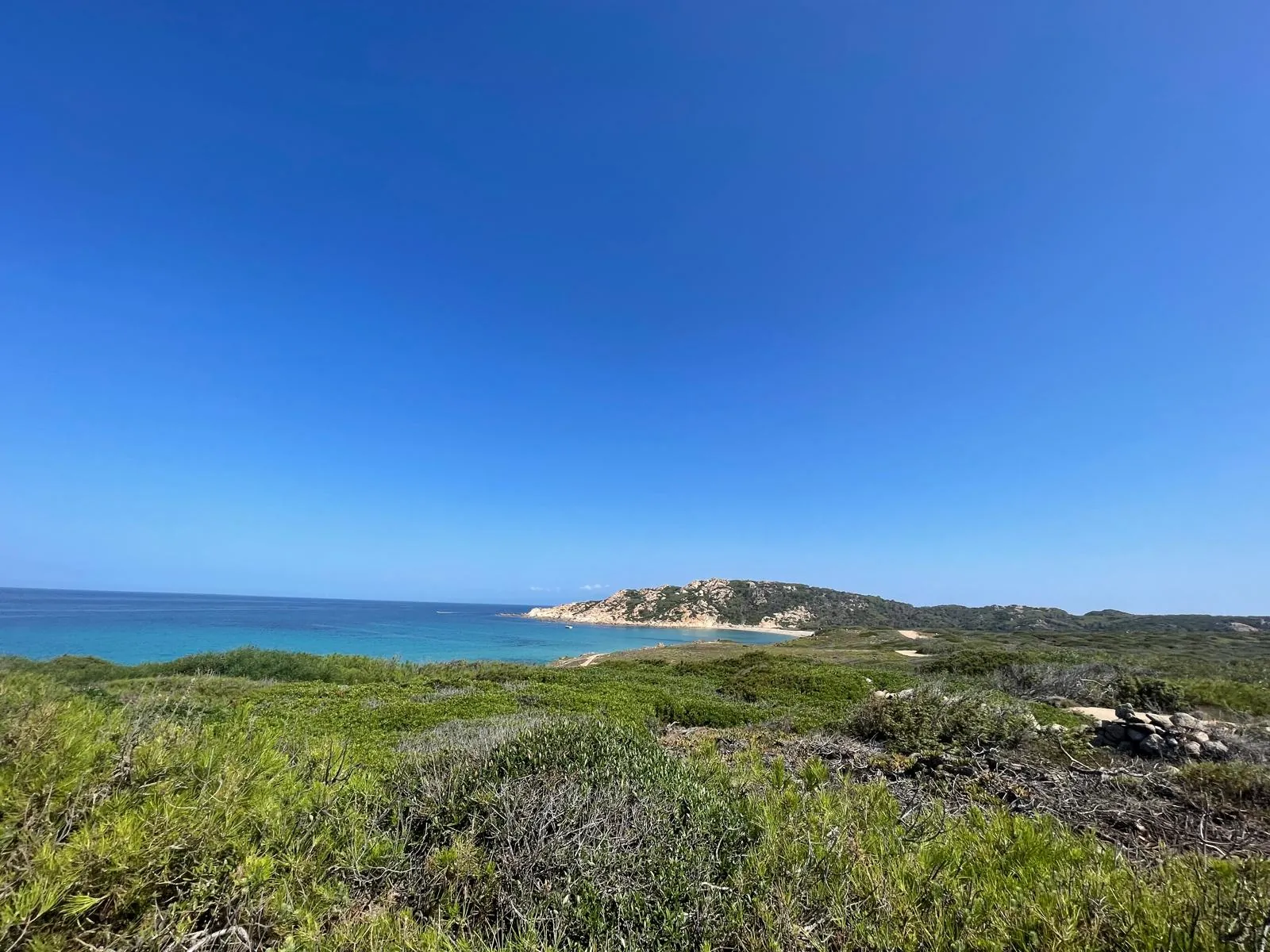 Mediterranean scrub along the coast